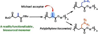 Graphical abstract: Poly(alkylene itaconate)s – an interesting class of polyesters with periodically located exo-chain double bonds susceptible to Michael addition