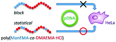 Graphical abstract: Aqueous RAFT synthesis of block and statistical copolymers of 2-(α-d-mannopyranosyloxy)ethyl methacrylate with 2-(N,N-dimethylamino)ethyl methacrylate and their application for nonviral gene delivery