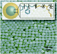 Graphical abstract: A synthetic strategy for the preparation of sub-100 nm functional polymer particles of uniform diameter