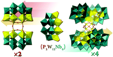 Graphical abstract: Two new members of the niobium-substituted polytungstophosphate family based on hexalacunary [H2P2W12O48]12− building blocks