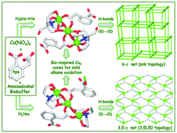 Graphical abstract: New tricopper(ii) cores self-assembled from aminoalcohol biobuffers and homophthalic acid: synthesis, structural and topological features, magnetic properties and mild catalytic oxidation of cyclic and linear C5–C8 alkanes