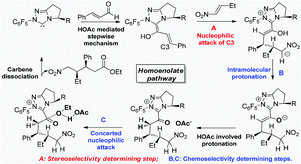 Graphical abstract: NHC-catalyzed homoenolate reaction of enals and nitroalkenes: computational study of mechanism, chemoselectivity and stereoselectivity