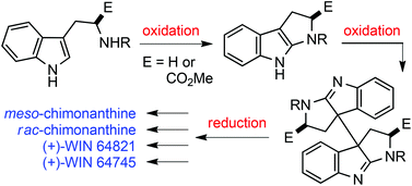 Graphical abstract: Highly efficient and stereocontrolled oxidative coupling of tetrahydropyrroloindoles: synthesis of chimonanthines, (+)-WIN 64821 and (+)-WIN 64745