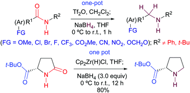 Graphical abstract: Simple, versatile, and chemoselective reduction of secondary amides and lactams to amines with the Tf2O–NaBH4 or Cp2ZrHCl–NaBH4 system