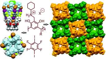 Graphical abstract: N-Alkyl ammonium resorcinarene salts: multivalent halogen-bonded deep-cavity cavitands