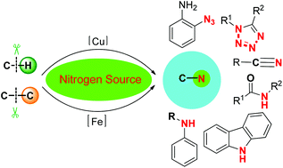 Graphical abstract: Cu- or Fe-catalyzed C–H/C–C bond nitrogenation reactions for the direct synthesis of N-containing compounds