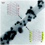 Graphical abstract: Simple and highly efficient direct thiolation of the surface of carbon nanotubes