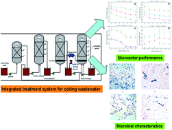 Graphical abstract: Removal characteristics of organics and nitrogen in a novel four-stage biofilm integrated system for enhanced treatment of coking wastewater under different HRTs