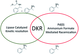 Graphical abstract: Ammonium formate as a green hydrogen source for clean semi-continuous enzymatic dynamic kinetic resolution of (+/−)-α-methylbenzylamine