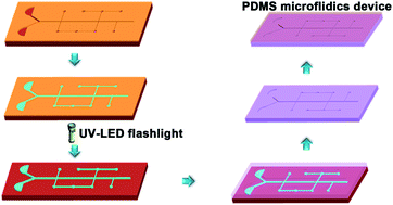 Graphical abstract: Fabricating millimeter-scale polymeric structures for biomedical applications via a combination of UV-activated materials and daily-use tools