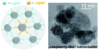 Graphical abstract: The chemically directed assembly of nanoparticle clusters from superparamagnetic iron-oxide nanoparticles