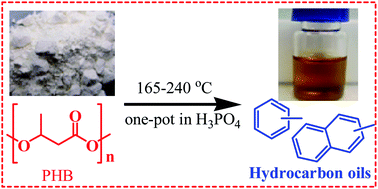 Graphical abstract: One-pot production of hydrocarbon oil from poly(3-hydroxybutyrate)