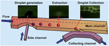 Graphical abstract: Online monodisperse droplets based liquid–liquid extraction on a continuously flowing system by using microfluidic devices