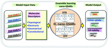 Graphical abstract: Nano-QSAR modeling for predicting biological activity of diverse nanomaterials