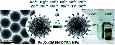 Graphical abstract: Versatile heavy metals removal via magnetic mesoporous nanocontainers