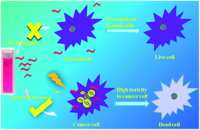 Graphical abstract: BODIPY-based macromolecular photosensitizer with selective recognition and enhanced anticancer efficiency