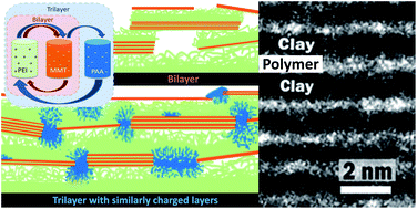 Graphical abstract: High gas barrier imparted by similarly charged multilayers in nanobrick wall thin films