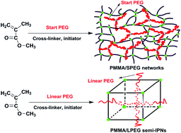 Graphical abstract: Shape memory behavior and mechanism of poly(methyl methacrylate) polymer networks in the presence of star poly(ethylene glycol)
