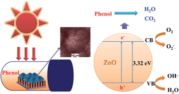 Graphical abstract: ZnO nanopinecone arrays with enhanced photocatalytic performance in sunlight