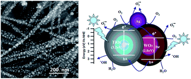 Graphical abstract: WO3 and Ag nanoparticle co-sensitized TiO2 nanowires: preparation and the enhancement of photocatalytic activity