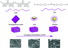 Graphical abstract: Morphology control of porous epoxy resin by rod-coil block oligomer: a self-assembly-induced phase separation by diphenyl fluorene-modified silicone epoxy