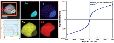 Graphical abstract: Fabrication of multifunctional ferromagnetic Au3Pd–CoSe nanoparticles