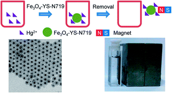 Graphical abstract: Chemodosimeter functionalized magnetic silica yolk–shell nanocomposite for sensing and removal of Hg2+