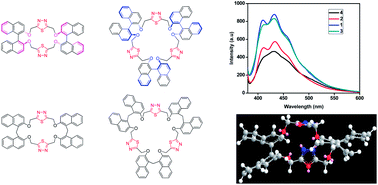 Graphical abstract: Synthesis, photophysical and electrochemical properties of chiral and achiral thiadiazolophanes
