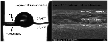 Graphical abstract: Polymer brush functionalized Janus graphene oxide/chitosan hybrid membranes
