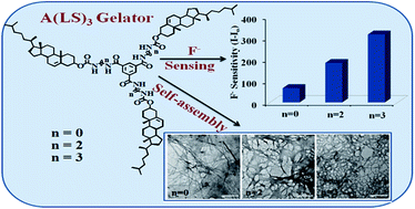 Graphical abstract: New triangular steroid-based A(LS)3 type gelators for selective fluoride sensing application