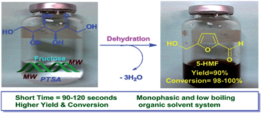 Graphical abstract: Microwave assisted organocatalytic synthesis of 5-hydroxymethyl furfural in a monophasic green solvent system