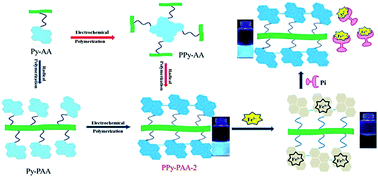 Graphical abstract: Novel functionalized conjugated polypyrene with polyacrylate: synthesis, electrochemistry, luminescence, and chemical sensing properties