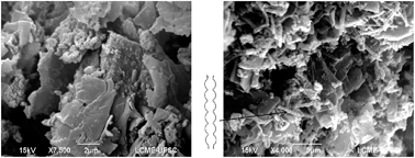 Graphical abstract: Large slabs and allihn condenser type structures of polyaniline by an innovative one-pot approach