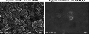 Graphical abstract: Surface morphology and corresponding electrochemistry of polypyrrole films electrodeposited using a water miscible ionic liquid