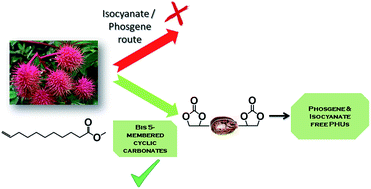 Graphical abstract: Novel green fatty acid-based bis-cyclic carbonates for the synthesis of isocyanate-free poly(hydroxyurethane amide)s