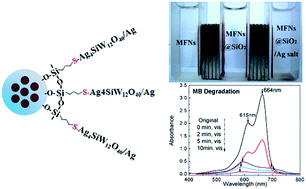Graphical abstract: Synthesis of a superparamagnetic MFNs@SiO2@Ag4SiW12O40/Ag composite photocatalyst, its superior photocatalytic performance under visible light illumination, and its easy magnetic separation