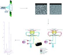 Graphical abstract: Magnetic and electric field assisted electrospun polyamide nanofibers for on-line μ-solid phase extraction and HPLC