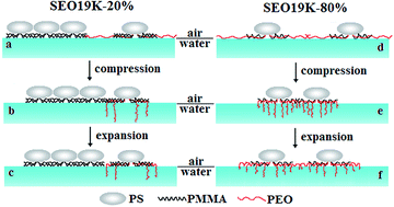 Graphical abstract: Effect of selective solvent on the aggregate behavior of the mixed Langmuir monolayers of PS-b-PEO and PS-b-PMMA
