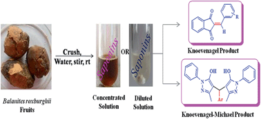 Graphical abstract: Aqueous extract of Balanites roxburghii fruit: a green dispersant for C–C bond formation