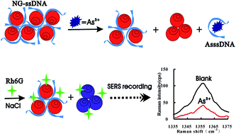 Graphical abstract: A simple label-free rhodamine 6G SERS probe for quantitative analysis of trace As3+ in an aptamer–nanosol