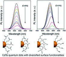 Graphical abstract: Discriminating Cr(iii) and Cr(vi) using aqueous CdTe quantum dots with various surface ligands