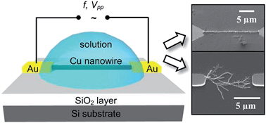 Graphical abstract: Copper nanowire synthesis by directed electrochemical nanowire assembly