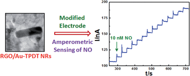 Graphical abstract: Reduced graphene oxide–gold nanorod composite material stabilized in silicate sol–gel matrix for nitric oxide sensor