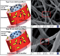 Graphical abstract: Differentially cross-linkable core–shell nanofibers for tunable delivery of anticancer drugs: synthesis, characterization and their anticancer efficacy