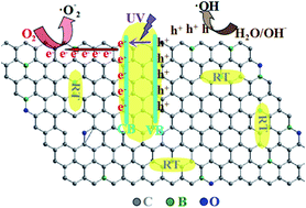 Graphical abstract: A facile one-step hydrothermal synthesis of a B-doped graphene/rod-shaped TiO2 nanocomposite