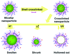 Graphical abstract: Triple stimuli-responsive crosslinked polymeric nanoparticles for controlled release