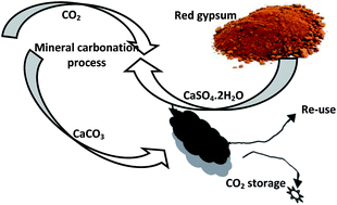 Graphical abstract: Calcite precipitation from by-product red gypsum in aqueous carbonation process