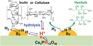 Graphical abstract: Cs-substituted tungstophosphate-supported ruthenium nanoparticles as efficient and robust bifunctional catalysts for the conversion of inulin and cellulose into hexitols in water in the presence of H2