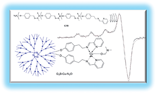 Graphical abstract: Comparative EPR studies of Cu(ii)-conjugated phosphorous-dendrimers in the absence and presence of normal and cancer cells