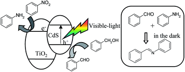 Graphical abstract: One-pot synthesis of imine from benzyl alcohol and nitrobenzene on visible-light responsive CdS–TiO2 photocatalysts